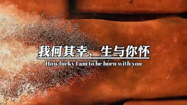 寻找遗失的玩具车
